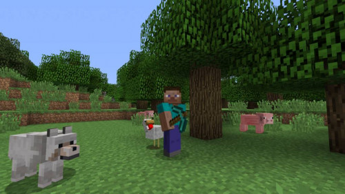 Minecraft: PlayStation 4 und Xbox One Editonen