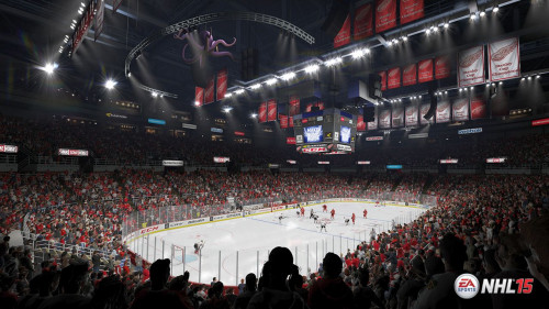 NHL 15: Der Brief eines Fans