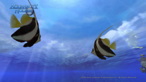 Aquanaut's Holiday