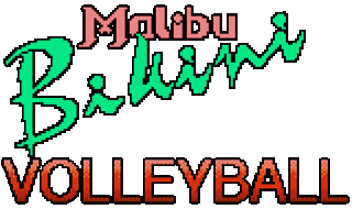 Malibu Bikini Volleyball